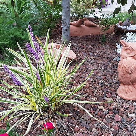 Willa Nel Giardino Di Dafne Stresa Zewnętrze zdjęcie