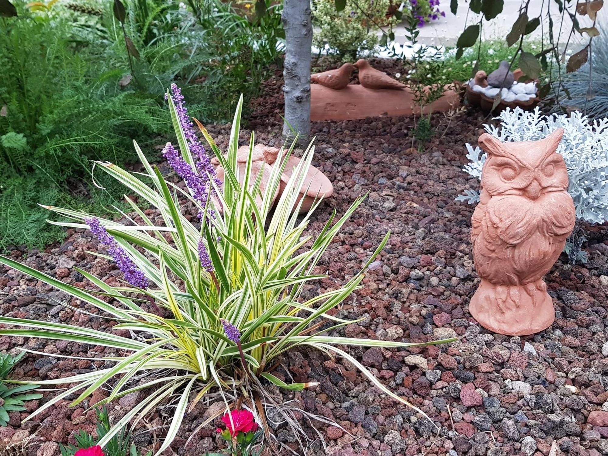Willa Nel Giardino Di Dafne Stresa Zewnętrze zdjęcie
